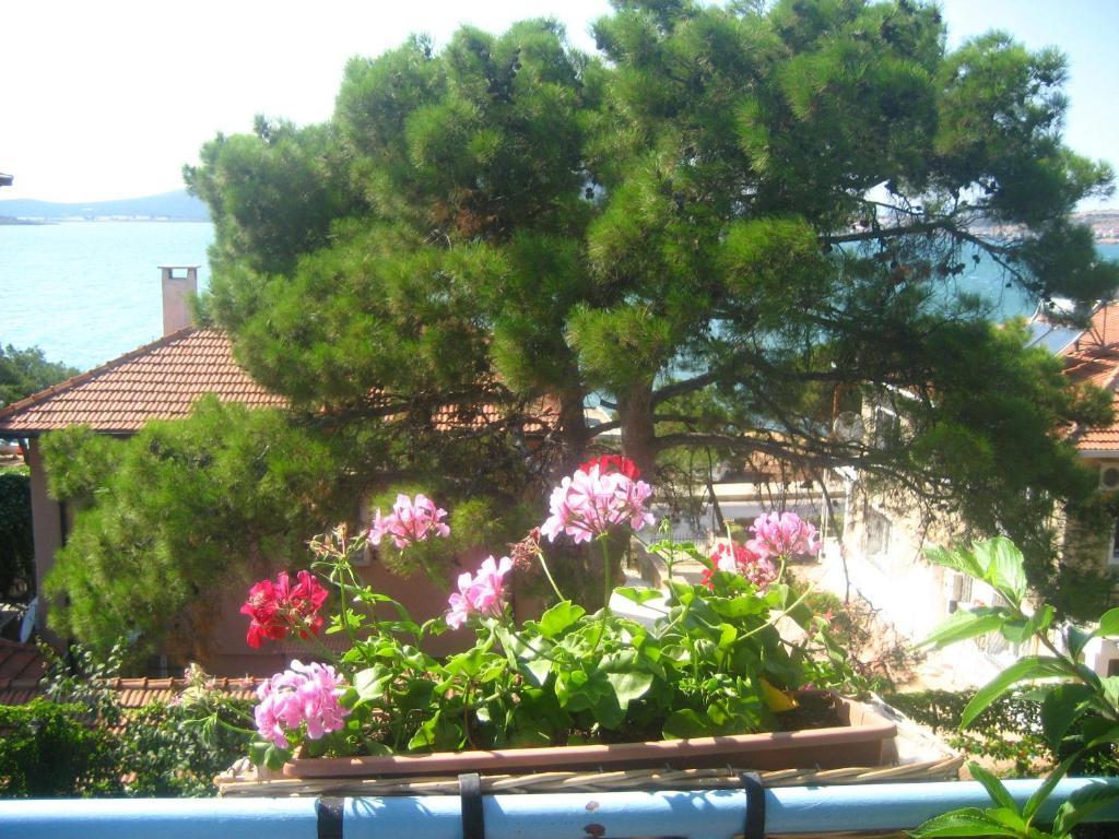 Hotel Mavi Pension Ayvalı Exterior foto